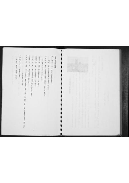 内蒙张氏-张氏世系简明谱[不分卷].pdf电子版预览图3