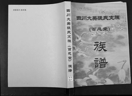 四川张氏-四川省大英张氏支族.pdf电子版缩略图