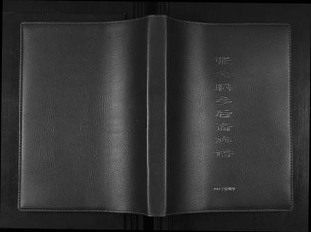 四川张氏-张公腾参后裔族谱.pdf电子版缩略图