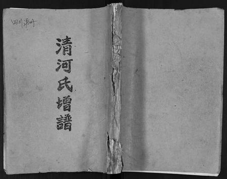 四川张氏-[张氏]清河氏谱.pdf电子版缩略图