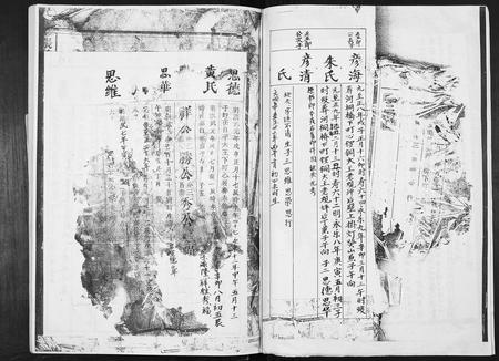 四川张氏-张氏三修族谱.pdf电子版预览图2