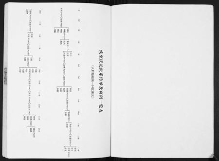 四川张氏-张氏南翔谱.pdf电子版预览图3