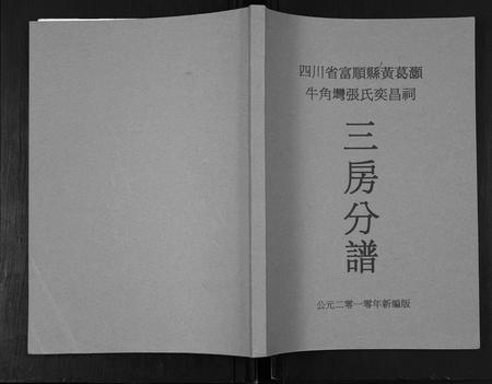 四川张氏-张氏奕昌祠族谱.pdf电子版缩略图