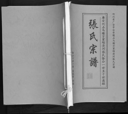 四川张氏-张氏宗谱.pdf电子版缩略图