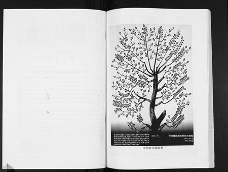 四川张氏-张氏宗谱.pdf电子版预览图2