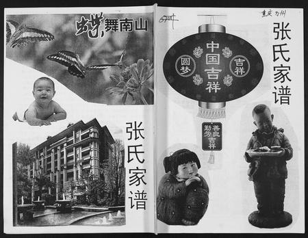 四川张氏-张氏家谱.pdf电子版缩略图