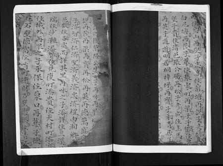 四川张氏-张氏家谱.pdf电子版预览图3