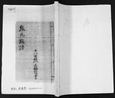 四川张氏-张氏族谱.pdf电子版缩略图