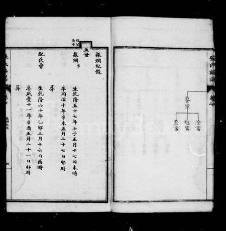 四川张氏-张氏族谱 [12卷,首1卷].pdf电子版预览图5