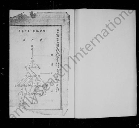 四川张氏-张氏族谱 [残卷].pdf电子版预览图2