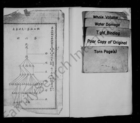 四川张氏-张氏族谱 [残卷].pdf电子版预览图3