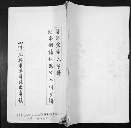 四川张氏-清河堂张氏家谱.pdf电子版缩略图