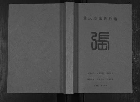四川张氏-重庆市张氏族谱.pdf电子版缩略图
