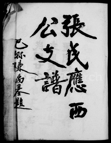 四川张氏-张氏应西公支谱(别名：张氏族谱).pdf电子版预览图1