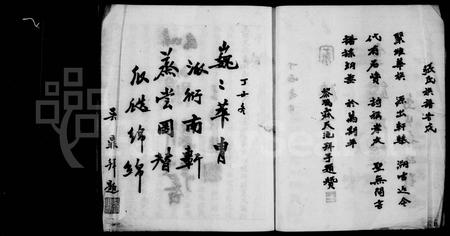 四川张氏-张氏应西公支谱(别名：张氏族谱).pdf电子版预览图5