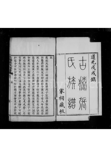 山东张氏-古滕张氏族谱 [4卷].pdf电子版预览图4