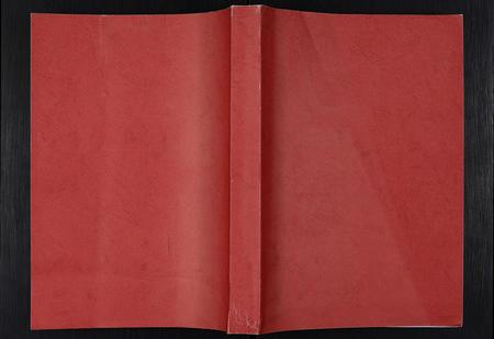 山东张氏-山东淄川岳阴张氏宗谱 [不分卷](别名：岳阴张氏宗谱).pdf电子版缩略图