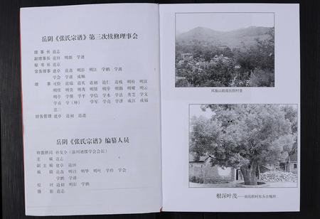 山东张氏-山东淄川岳阴张氏宗谱 [不分卷](别名：岳阴张氏宗谱).pdf电子版预览图2