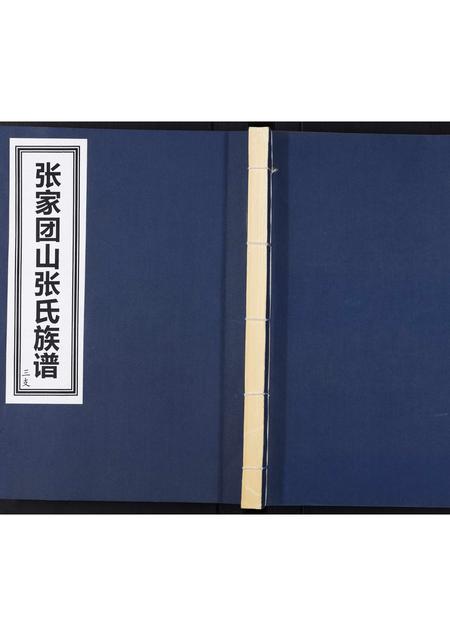 山东张氏-张家团山张氏族谱.pdf电子版缩略图