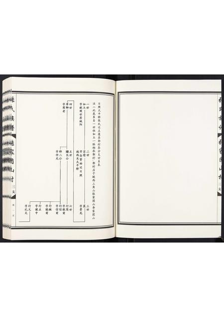 山东张氏-张家团山张氏族谱.pdf电子版预览图2