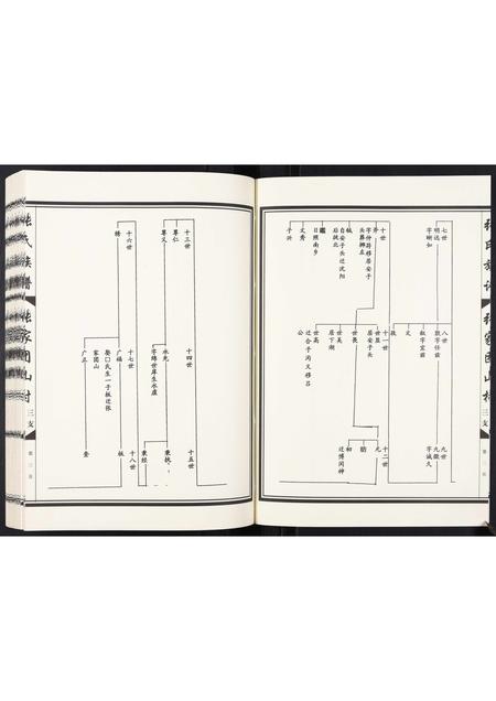 山东张氏-张家团山张氏族谱.pdf电子版预览图3