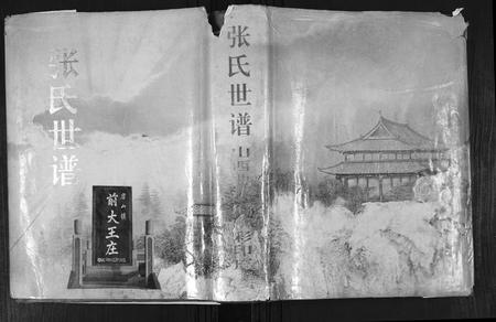 山东张氏-张氏世谱.pdf电子版缩略图