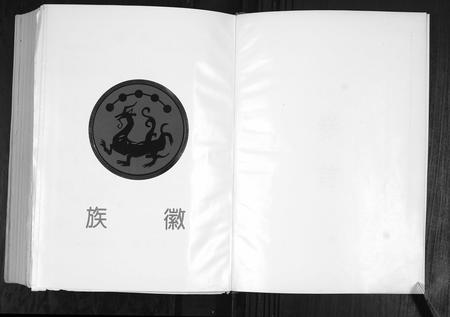 山东张氏-张氏世谱.pdf电子版预览图2