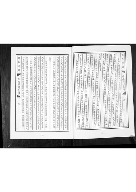 山东张氏-张氏世谱.西崖头村支.pdf电子版预览图3