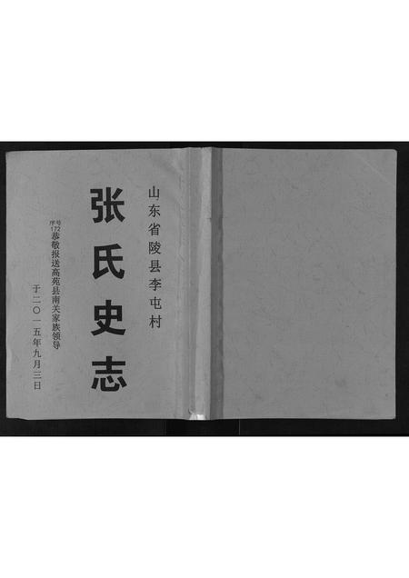 山东张氏-张氏史志.pdf电子版缩略图