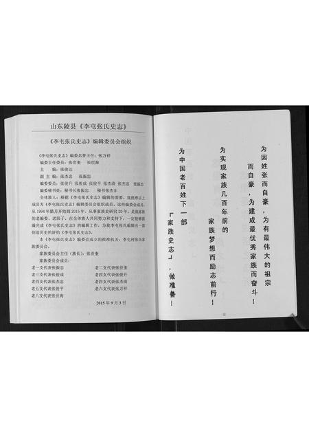 山东张氏-张氏史志.pdf电子版预览图4