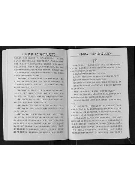山东张氏-张氏史志.pdf电子版预览图5