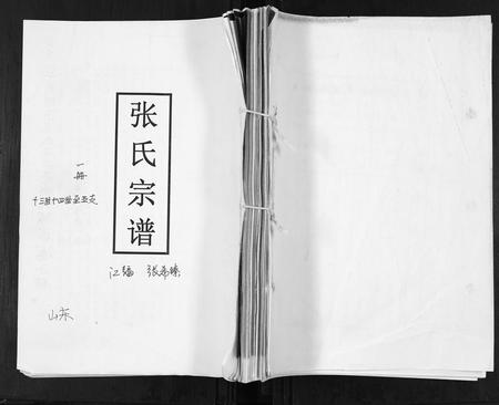 山东张氏-张氏宗谱.pdf电子版缩略图