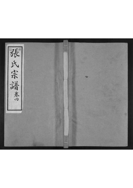 山东张氏-张氏宗谱[4卷].pdf电子版缩略图