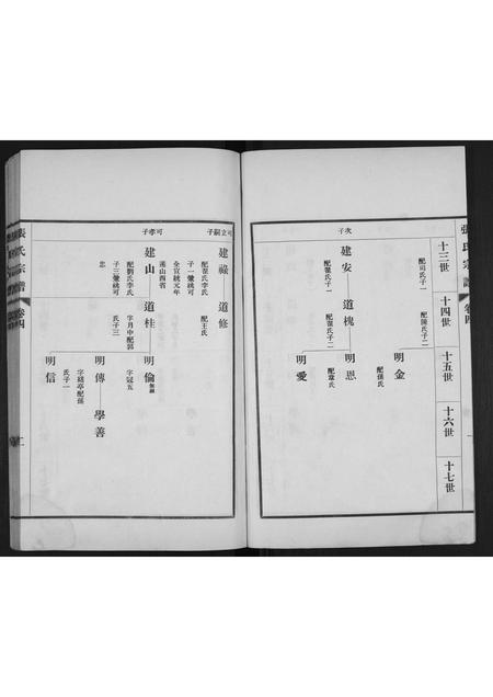 山东张氏-张氏宗谱[4卷].pdf电子版预览图2