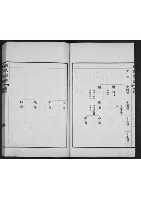 山东张氏-张氏宗谱[4卷].pdf电子版预览图3