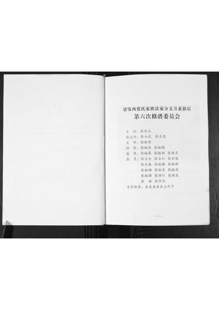 山东张氏-张氏家谱.pdf电子版预览图2