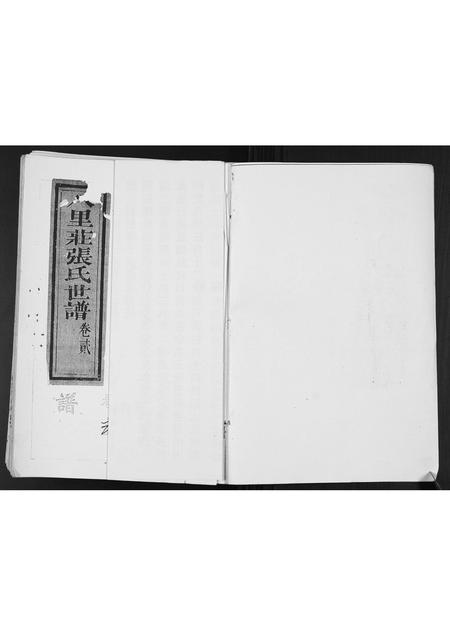 山东张氏-张氏家谱.pdf电子版预览图2