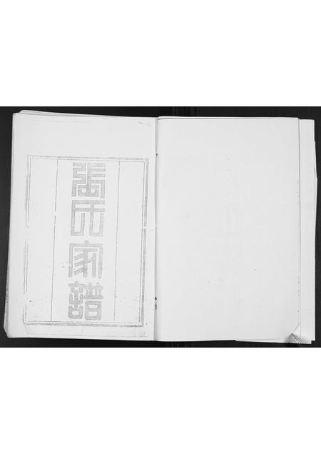 山东张氏-张氏家谱.pdf电子版预览图4