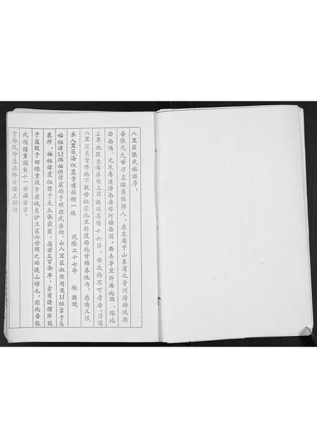 山东张氏-张氏家谱.pdf电子版预览图5