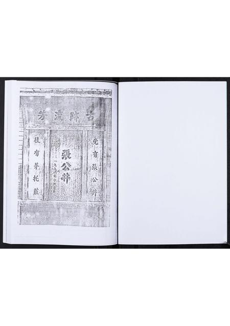 山东张氏-张氏支谱[不分卷].pdf电子版预览图2