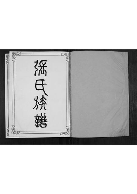 山东张氏-张氏族谱.pdf电子版预览图1