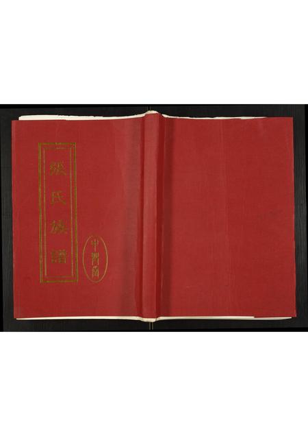 山东张氏-张氏族谱.pdf电子版缩略图