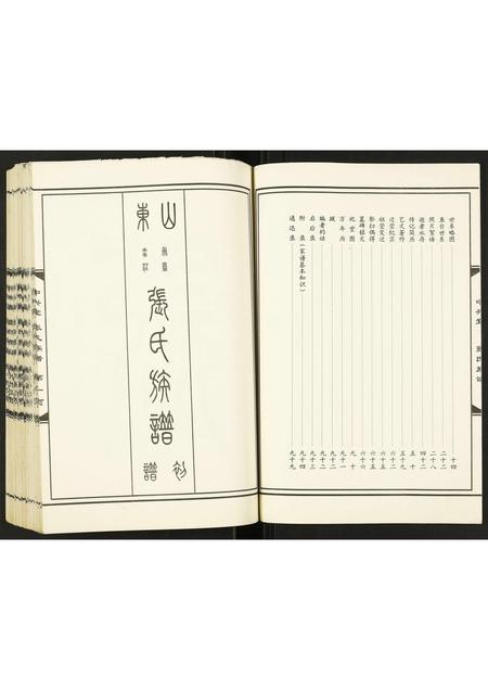 山东张氏-张氏族谱.pdf电子版预览图3