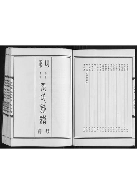 山东张氏-张氏族谱.pdf电子版预览图2