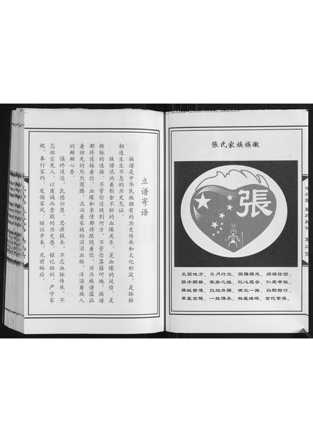 山东张氏-张氏族谱.pdf电子版预览图5