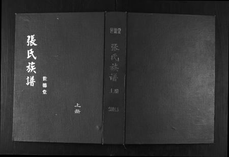 山东张氏-张氏族谱.pdf电子版缩略图