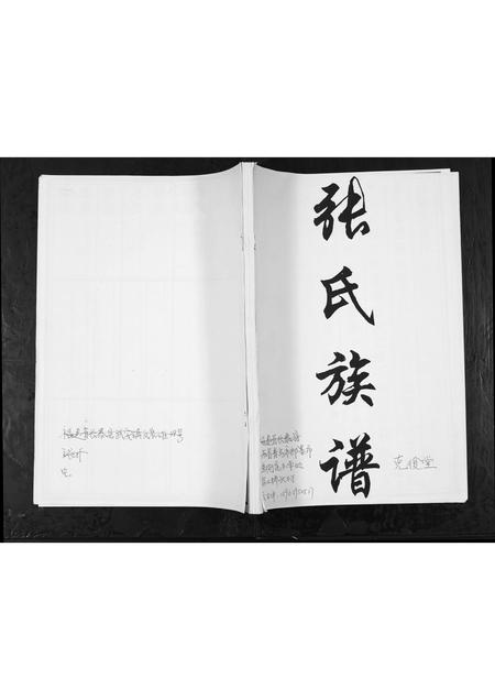 山东张氏-张氏族谱.pdf电子版缩略图