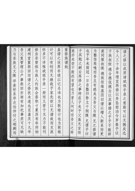 山东张氏-张氏族谱.pdf电子版预览图3