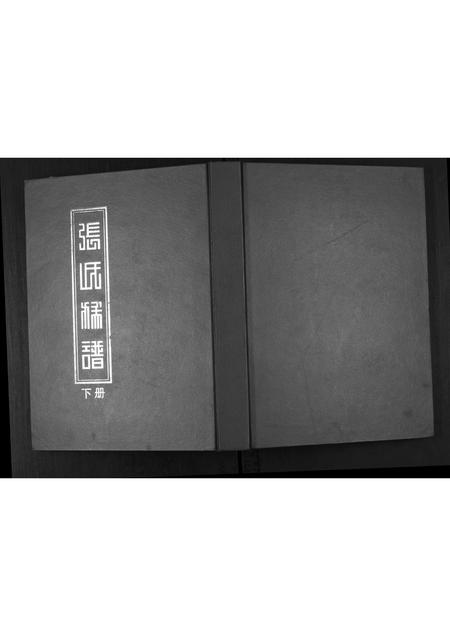 山东张氏-张氏族谱.pdf电子版缩略图