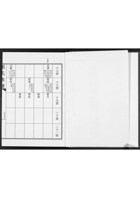 山东张氏-张氏族谱.pdf电子版预览图2